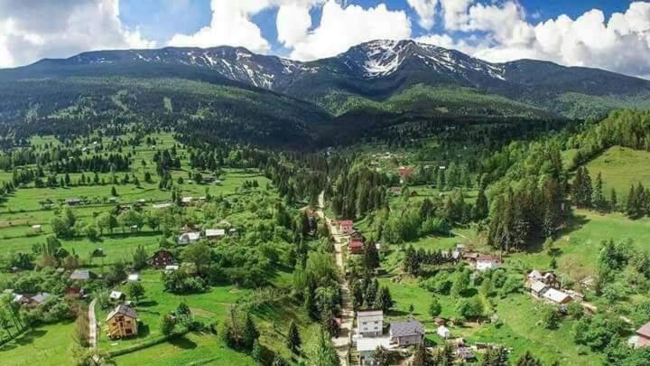 Casa Dana Hotel Borsa  Bagian luar foto